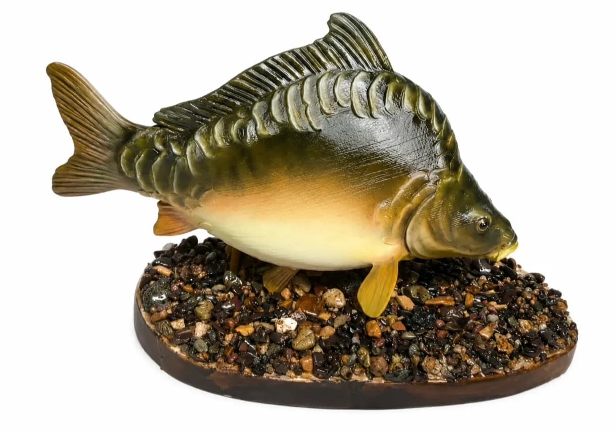 Mirror Carp Realistic